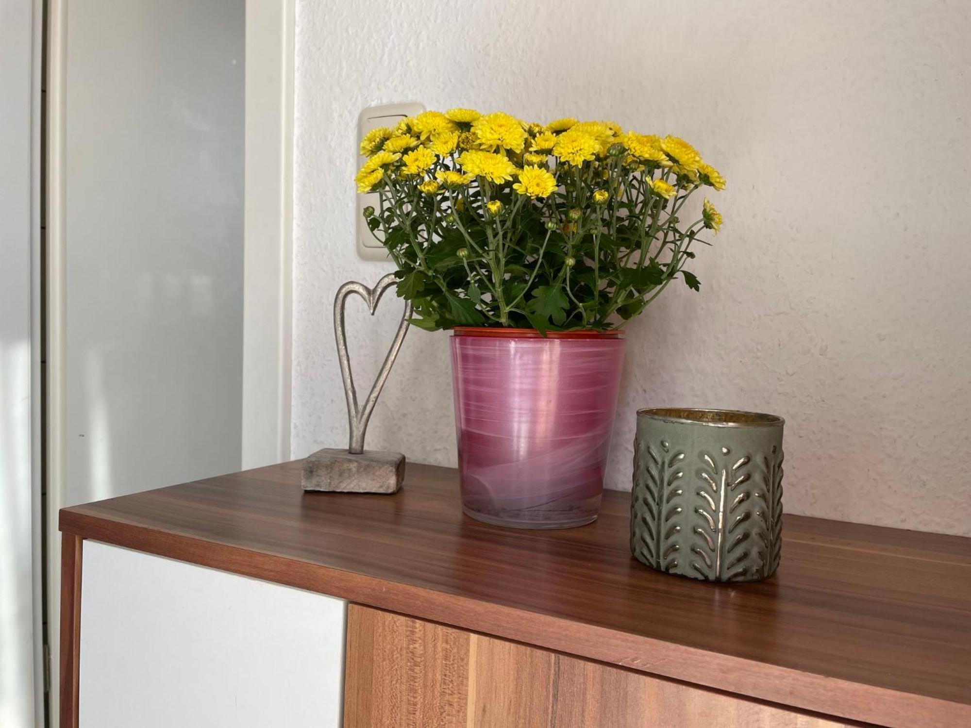Apartment Old Huesung - Muz328 By Interhome ميرو المظهر الخارجي الصورة